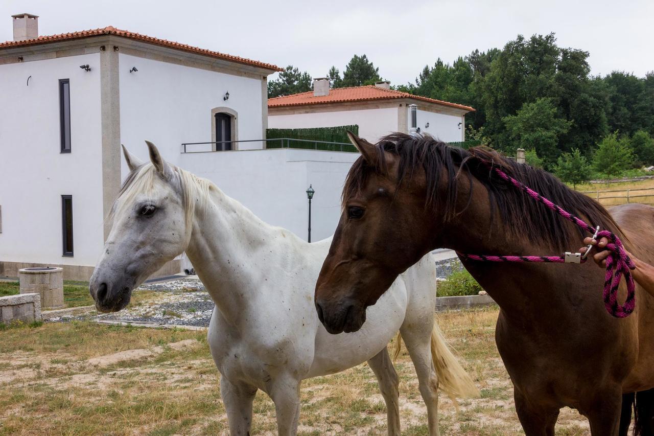 Vilamoure Hotel De Naturaleza Punxin Bagian luar foto